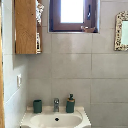 Bird Of Paradise Apartment Belgrade